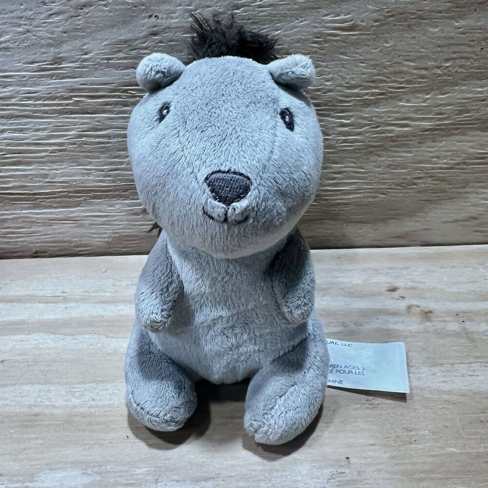 Animal Adventure 2020 Gray Squirrel Plush 5" Stuffed Animal Woodland
